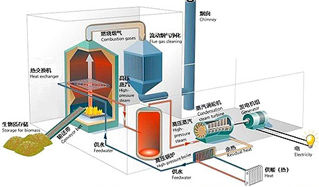 生物質(zhì)發(fā)電的投資分析